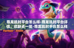 尊龙凯时平台怎么样-尊龙凯时平台评估，优缺点一览-尊龙凯时平台怎么样