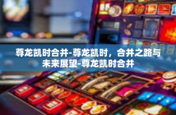 尊龙凯时合并-尊龙凯时，合并之路与未来展望-尊龙凯时合并