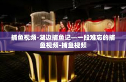 捕鱼视频-湖边捕鱼记—一段难忘的捕鱼视频-捕鱼视频