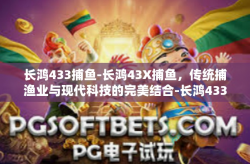 长鸿433捕鱼-长鸿43X捕鱼，传统捕渔业与现代科技的完美结合-长鸿433捕鱼