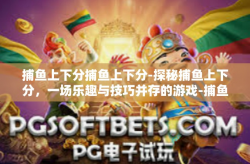 捕鱼上下分捕鱼上下分-探秘捕鱼上下分，一场乐趣与技巧并存的游戏-捕鱼上下分捕鱼上下分