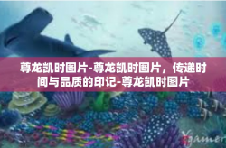 尊龙凯时图片-尊龙凯时图片，传递时间与品质的印记-尊龙凯时图片