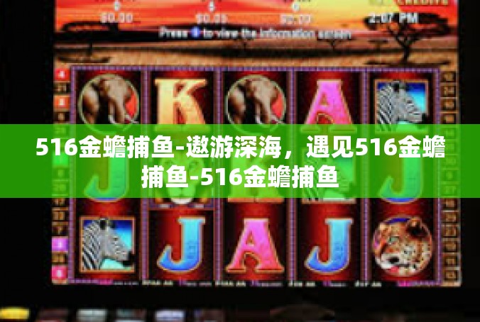 516金蟾捕鱼-遨游深海，遇见516金蟾捕鱼-516金蟾捕鱼