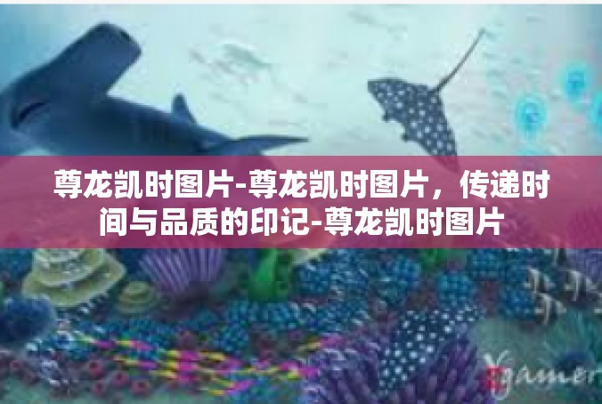 尊龙凯时图片-尊龙凯时图片，传递时间与品质的印记-尊龙凯时图片